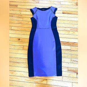 Size 8 Purple Dress